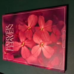 Billede af bogen Farver i haven