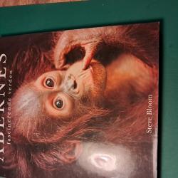 Billede af bogen ABERNES fascinerende verden Billede af bogen ABERNES fascinerende verden