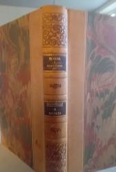 Rom i Digtning - Historie og Hverdag