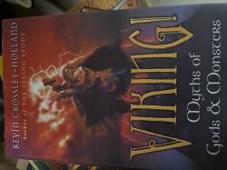 Billede af bogen Viking!