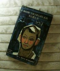 Billede af bogen I som ihjelslår sjæle Billede af bogen I som ihjelslår sjæle