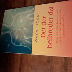 Billede af bogen Det der helbreder dig