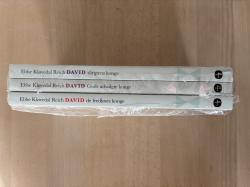 Billede af bogen David Slægtens konge