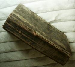 Billede af bogen Troens rare klenodie med svane-sang