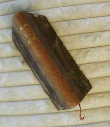 Billede af bogen Højen ved Øresund - En fortælling om Johannes Ewald