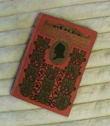 Billede af bogen Peder Paars - Comisk Heltedigt