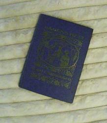 Billede af bogen Dagens helt