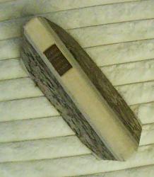 Billede af bogen Alexandra