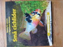 Billede af bogen Små cichlider