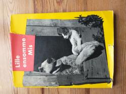 Billede af bogen Lille ensomme Mis