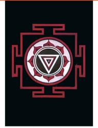 Billede af bogen Bjergets Skygge - Shantaram Il 