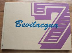 Billede af bogen Michael Bevilacgua