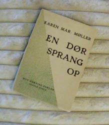 Billede af bogen En dør sprang op