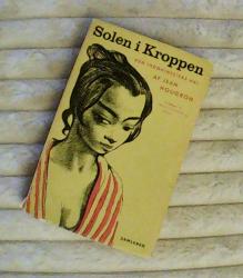 Billede af bogen Solen i kroppen - Den indokinesiske nat