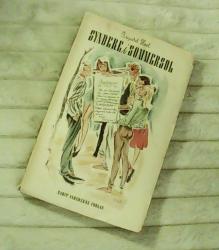 Billede af bogen Syndere i sommersol