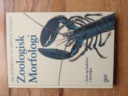 Billede af bogen Zoologisk morfologi