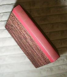 Billede af bogen Fabian