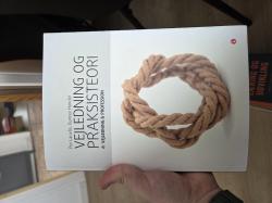 Billede af bogen Vejledning og praksisteori - vejledning & profession