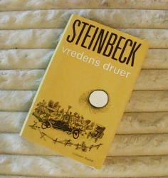 Billede af bogen Vredens druer Billede af bogen Vredens druer