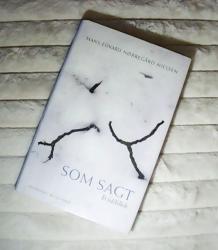 Billede af bogen Som sagt - Et tidsbillede