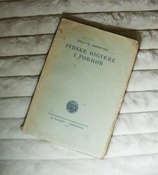 Billede af bogen Jydske digtere i forhør