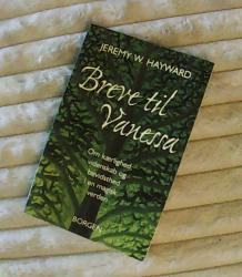 Billede af bogen Breve til Vanessa