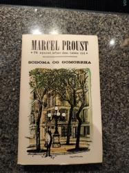 Billede af bogen Sodoma og Gomorrha (På sporet af den tabte tid)