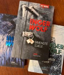 Billede af bogen Christian Falk - Trilogi