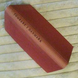 Billede af bogen Tømrere i Danmark Billede af bogen Tømrere i Danmark