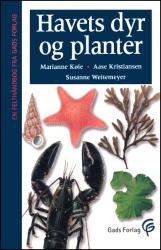 Billede af bogen Havets dyr og planter