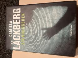 Billede af bogen Stenhuggeren