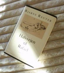 Billede af bogen Halvvejen til Rafael