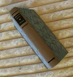 Billede af bogen Orkanen Billede af bogen Orkanen