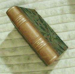 Billede af bogen Det forjættede land