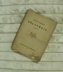 Billede af bogen Solstrejf